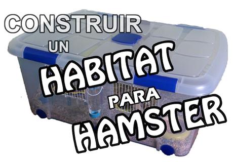 Construye un hábitat para hamster