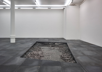 Cristina Iglesias. Phreatic zones Cristina Iglesias. Phreatic zones