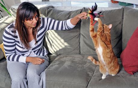 Importancia del juego en los gatos. ¿Cómo escoger un buen juguete? Jugar con tu gato fortalece tu relación con él