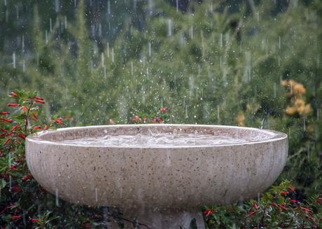 ¿Cómo puedo ahorrar agua en casa?