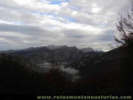 Ruta Bosque de Peloño: Vista de Picos de Europa