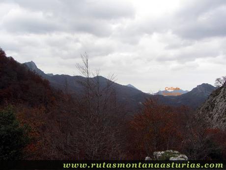 Ruta Bosque de Peloño: Vista de la Collada Granceno