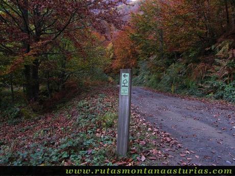 Ruta Bosque de Peloño: desvío al Roblón