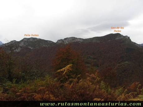 Ruta Bosque de Peloño: Vista de Peña Subes y Sen de los Mulos