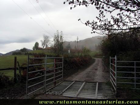 Ruta Bosque de Peloño: Saliendo de Les Bedules