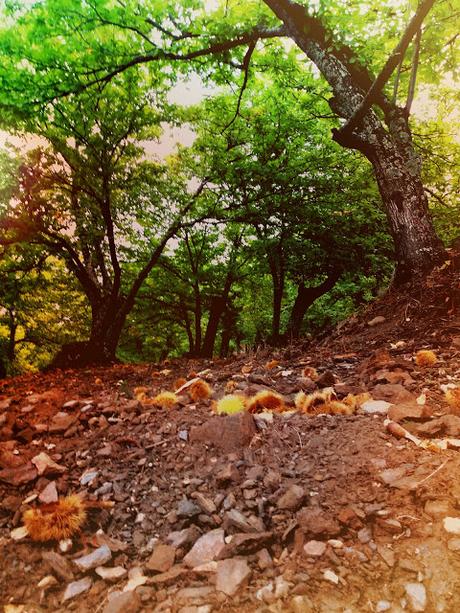 Una ruta mágica, sobre todo en Otoño...