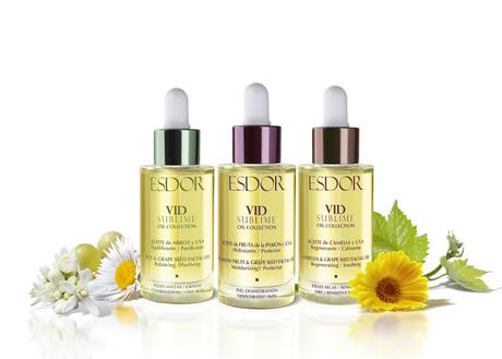 NOVEDAD | ACEITES FACIALES VID SUBLIME DE ESDOR. NOVEDAD | ACEITES FACIALES VID SUBLIME DE ESDOR.