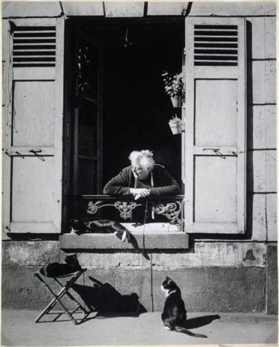 Los gatos y los fotógrafos: Brassaï La portera (1942)