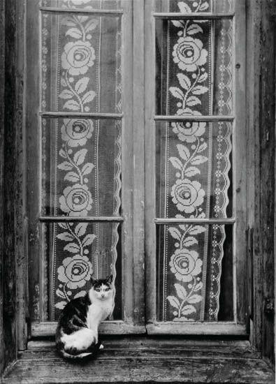 Los gatos y los fotógrafos: Brassaï Gato en ventana - 1953