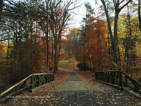 Visitamos Sleepy Hollow + Outfit