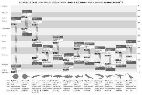Fossil record gaps - animals with hard body parts.svg