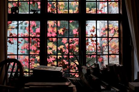 Mi experiencia como lectora Mi experiencia como lectora