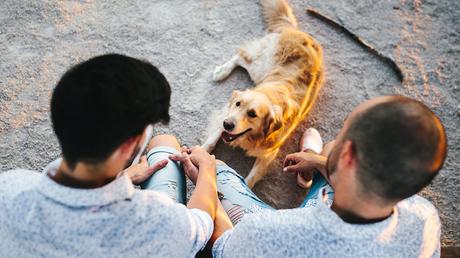 La preboda de Patrick e Isaac fotografo-boda-zaragoza-22