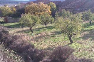 LA GENTE JOVEN NO VA A LOS PUEBLOS PEQUEÑOS