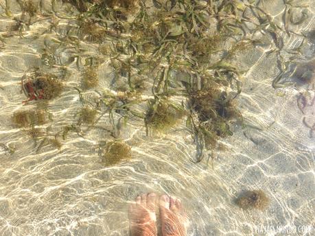 El sol que despierta a Yapascua Detente