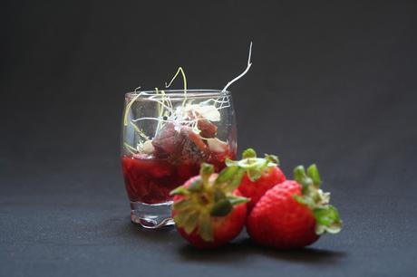 Vasitos de Anchoas con Tartare de Tomate y Fresas