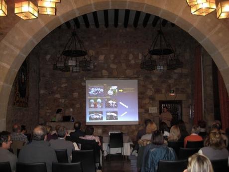 XIV JORNADAS MICOLÓGICAS DE SIGÜENZA XIV JORNADAS MICOLÓGICAS DE SIGÜENZA
