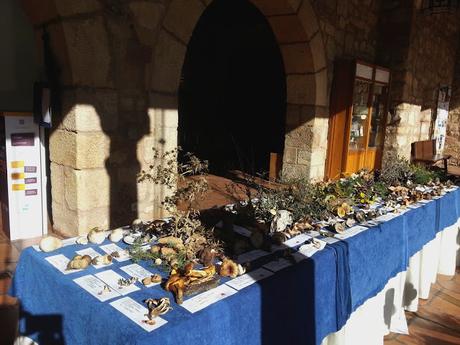 XIV JORNADAS MICOLÓGICAS DE SIGÜENZA XIV JORNADAS MICOLÓGICAS DE SIGÜENZA