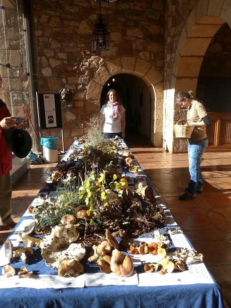 XIV JORNADAS MICOLÓGICAS DE SIGÜENZA XIV JORNADAS MICOLÓGICAS DE SIGÜENZA