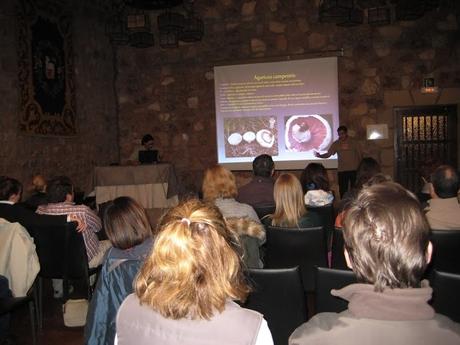 XIV JORNADAS MICOLÓGICAS DE SIGÜENZA XIV JORNADAS MICOLÓGICAS DE SIGÜENZA