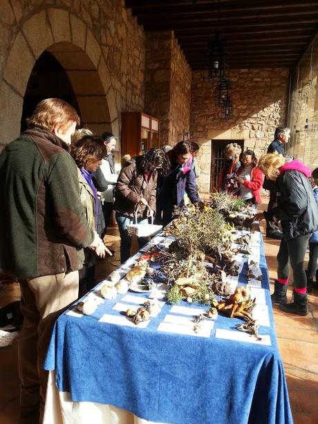 XIV JORNADAS MICOLÓGICAS DE SIGÜENZA XIV JORNADAS MICOLÓGICAS DE SIGÜENZA