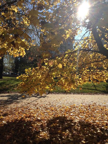 BEANIE TIME.- BEANIE TIME.-