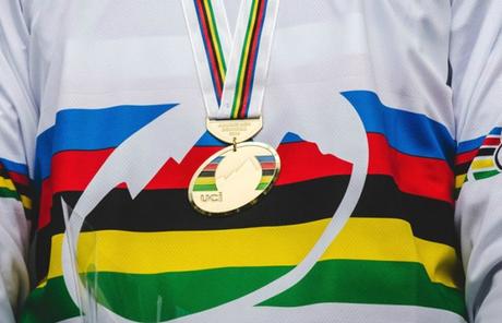 Loic Bruni y Lapierre toman caminos diferentes para el 2016 Loic Bruni y Lapierre toman caminos diferentes para el 2016