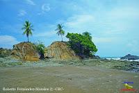Playa Dominicalito