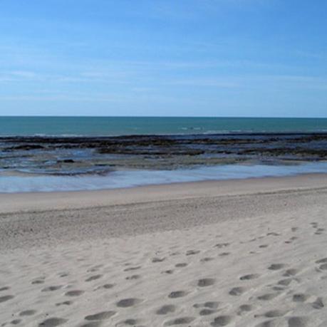 Los 10 artículos de Argentina Live más visitados durante el mes de Noviembre de 2015. Los 10 artículos de Argentina Live más visitados durante el mes de Noviembre de 2015.