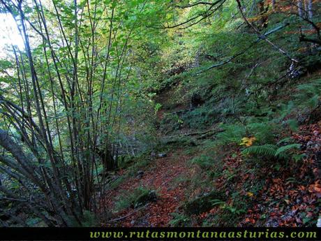 Ruta Víboli Peña Subes y Sen Mulos: Sendero a la izquierda Ruta Víboli Peña Subes y Sen Mulos: Sendero a la izquierda