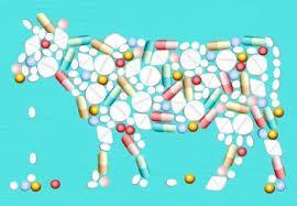 Antibióticos anti6