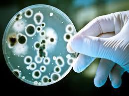 Antibióticos anti4
