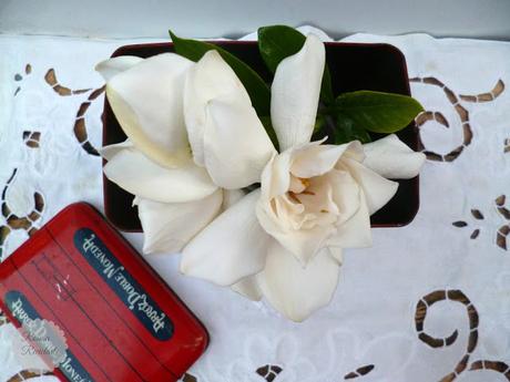 4 Floreros NO convencionales. 4 Floreros NO convencionales.