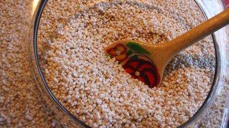 Amaranto, el alimento de los dioses amaranto