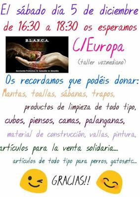 VIVE ALMADEN vive almaden: