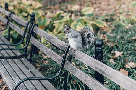 Bleecker St New_York-NYC-Collage_Vintage-Aritzia-Scarf-Masculine_Trousers-Superga_Sneakers-Outfit-Look_of_the_Day-Street_Style-55