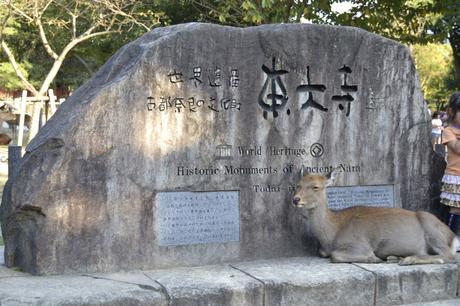 Templo Todaiji _DSC0754
