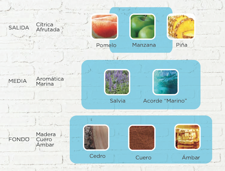 What do you like? Lo que más te gusta en una fragancia for Him & for Her + Sorteo like for him