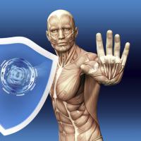 7 sorprendentes cosas que necesitas saber sobre tu sistema inmunológico 7 sorprendentes cosas que necesitas saber sobre tu sistema inmunológico