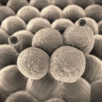 7 sorprendentes cosas que necesitas saber sobre tu sistema inmunológico 7 sorprendentes cosas que necesitas saber sobre tu sistema inmunológico