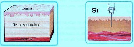 Tratamiento farmacológico de la diabetes mellitus Tratamiento farmacológico de la diabetes mellitus