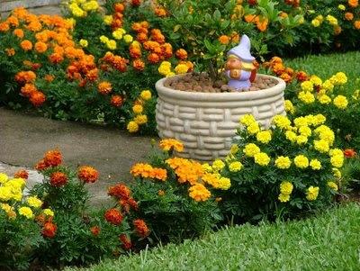 Eco-jardinería Eco-jardinería