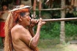 Lo que debes saber al soñar con una cerbatana. sueño con una cerbatana