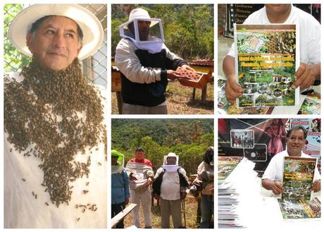 PERU: La miel de abeja, un potente antibacteriano, energizante y antioxidante.