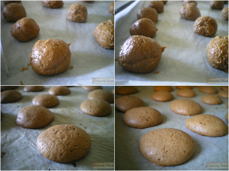 Galletas de chocolate y especias (Masa) Galletas de chocolate y especias (Masa)