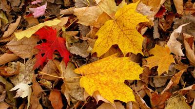 Diversidad Literaria nos propone su II Concurso de microrrelatos Diversidad Literaria propone Concurso microrrelatos