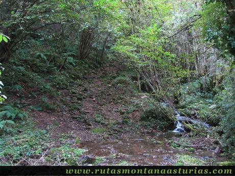 Circular Coañana Saleras: Arroyo y camino Circular Coañana Saleras: Arroyo y camino
