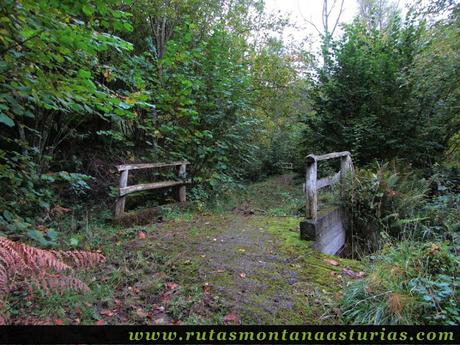 Circular Coañana Saleras: Puente Circular Coañana Saleras: Puente