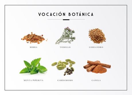 1918, Los Orígenes de Kemphor en Un Packaging de Lujo Y Sorteo 1918, Los Orígenes de Kemphor en Un Packaging de Lujo Y Sorteo