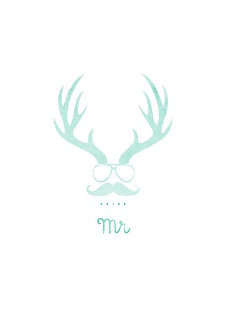 Láminas fever laminas-nuevas-tienda